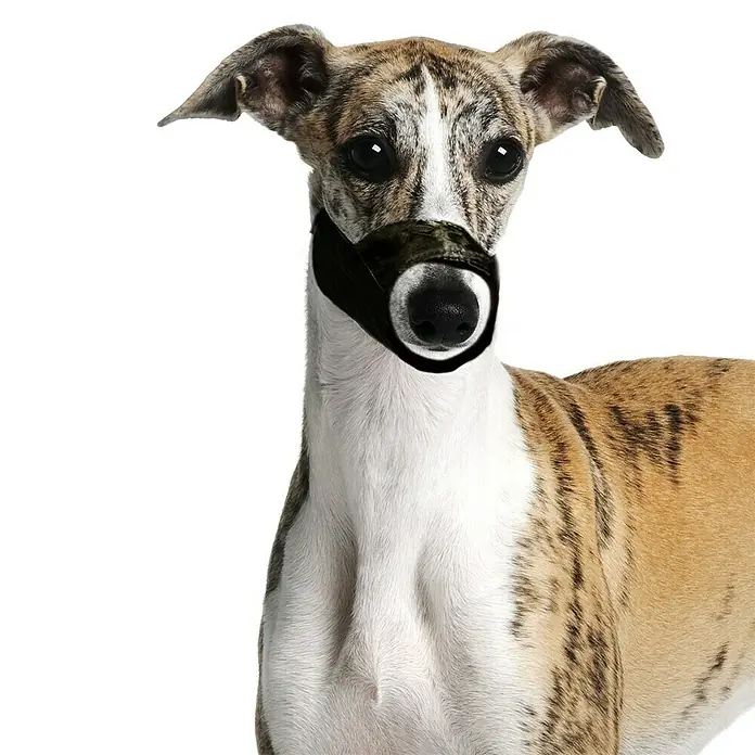 Karlie Bozal para perros - Nylon, Ajuste de longitud: 39 cm - 51 cm - Producto en uso