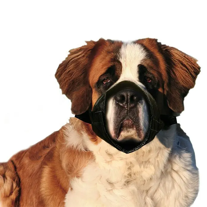 Karlie Bozal para perros - Nylon, Ajuste de longitud: 61 cm - 83 cm - Producto en uso