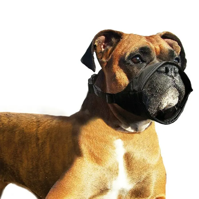 Bozal para perros - Apto para: Perros, Nylon, 51 cm - 71 cm - Producto en uso