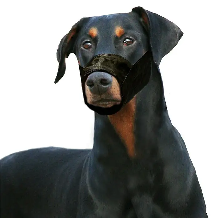 Karlie Bozal para perros - Nylon, Ajuste de longitud: 62 cm - 90 cm - Producto en uso