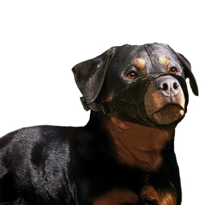 Karlie Bozal para perros - Nylon, Ajuste de longitud: 57 cm - 83 cm - Producto en uso