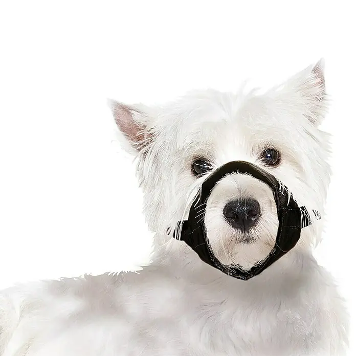 Karlie Bozal para perros - Apto para: Perros, Nylon, 43 cm - 64 cm - Producto en uso