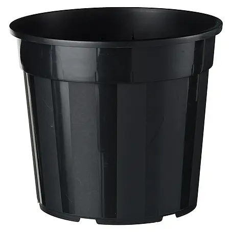 Nature  Plantenpot