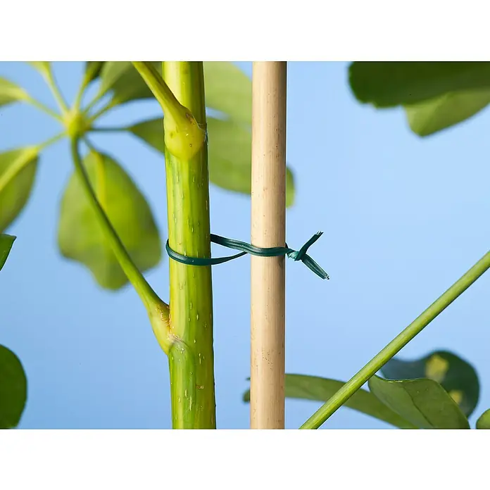 Nature Binddraad - Diameter: 2 mm, Lengte: 50 m, Groen - Toepassingsvoorbeeld