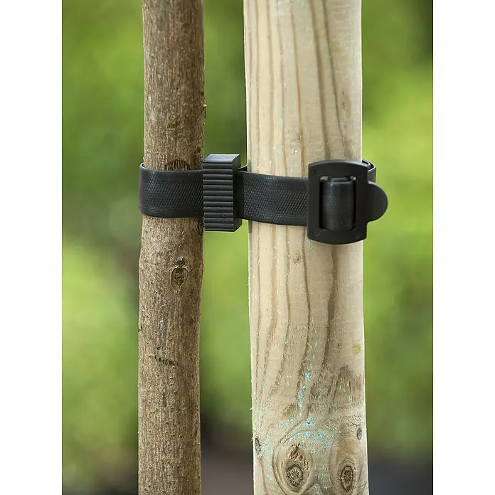 Nature Boomband met gesp - b x l: 2,5 x 45 cm, Kunststof - Toepassingsvoorbeeld