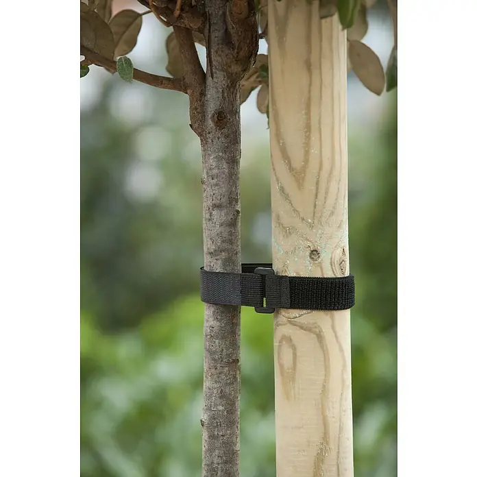 Nature Boomband met klittenband - 2,5 x 40 cm, 2 stk. - Toepassingsvoorbeeld