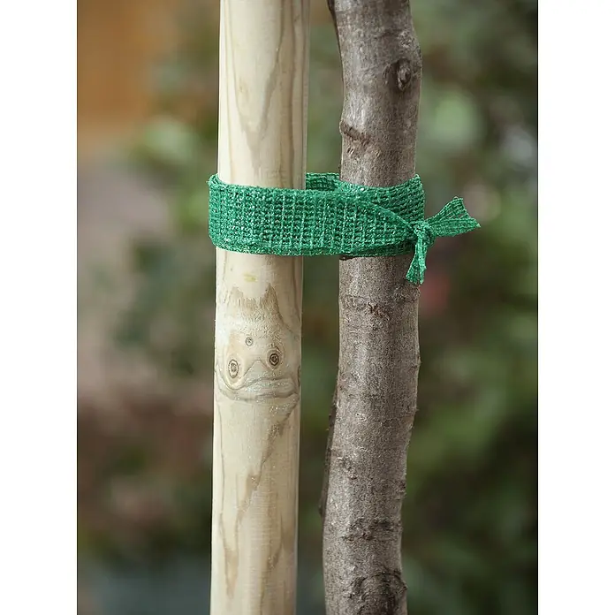 Nature Boomband - b x l: 4 cm x 2 m, Kunststof - Toepassingsvoorbeeld