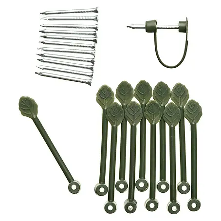Nature  Plantenbinders Clematisklem