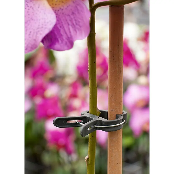 Nature Plantenclips - Diameter: 18 mm, Groen - Toepassingsvoorbeeld