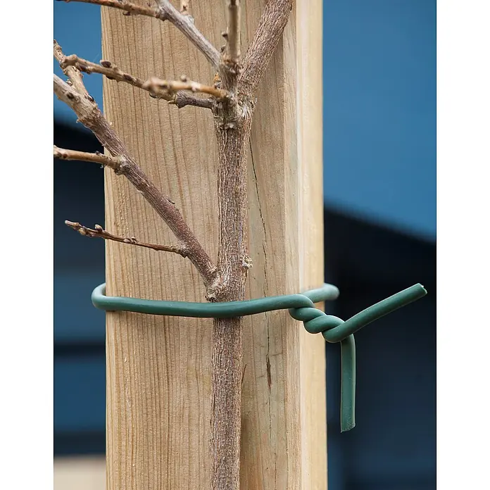 Nature Boomband - 5 m, Groen - Toepassingsvoorbeeld