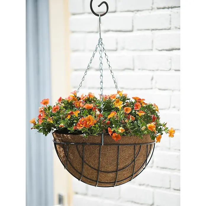 Nature Hanging basket - Ø x h: 40 x 20 cm, Groen, Metaal - Sfeeropname