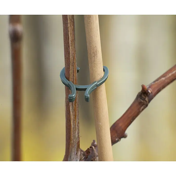 Nature Plantenclips Set van 3 maten - 40 stk., Kunststof, Groen - Toepassingsvoorbeeld