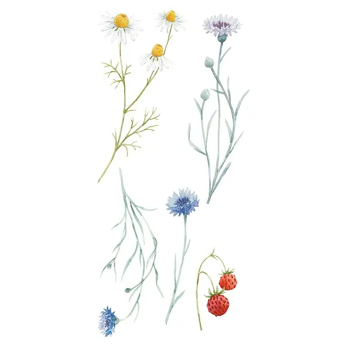 Adhesivos decorativos Flores Multicolor - Lámina autoadhesiva, 31 x 15 cm, Multicolor - Primer plano
