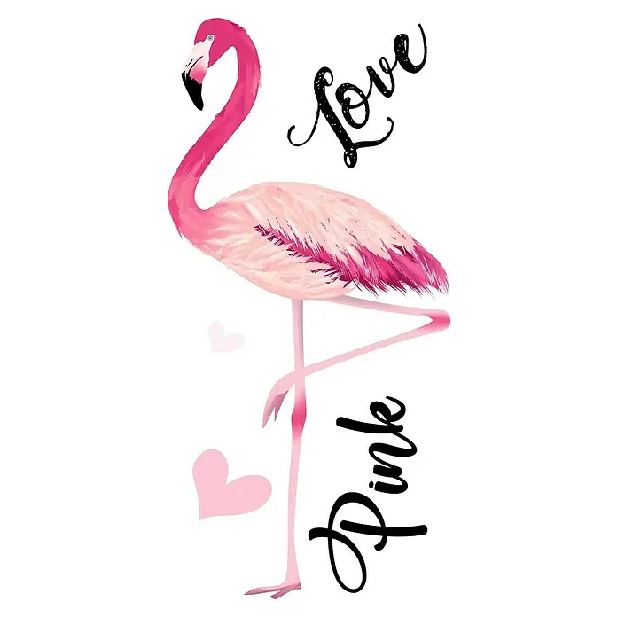 Adhesivos decorativos Flamencos -  - Primer plano