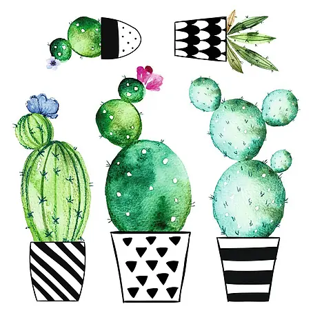 Adhesivos decorativos Cactus acuarela