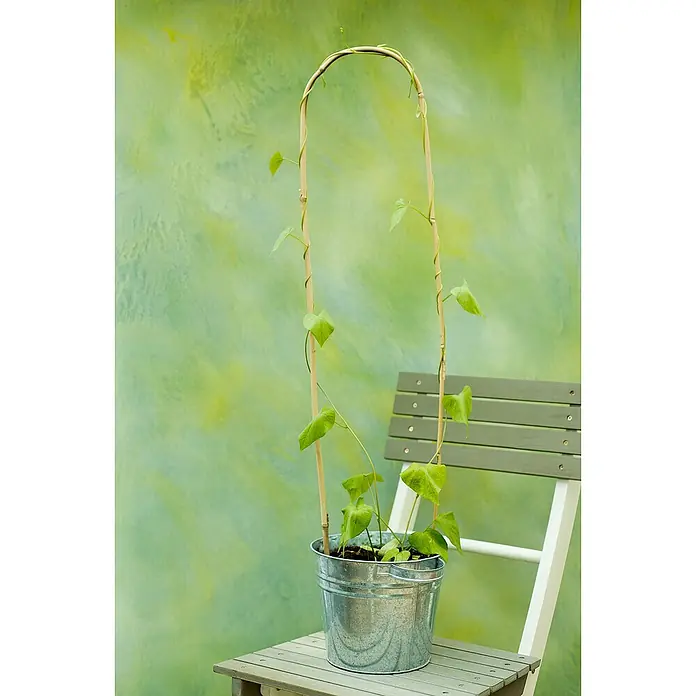 Nature Bamboestok gebogen - 3 stk., Ø x h: 8 mm x 60 cm - Sfeeropname