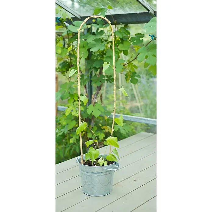 Nature Bamboestok gebogen - 3 stk., Ø x h: 8 mm x 60 cm - Sfeeropname
