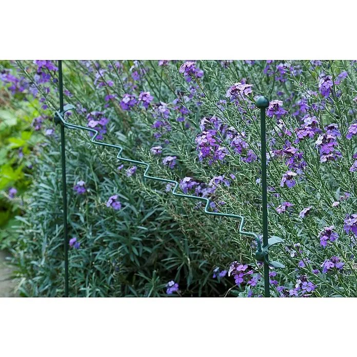 Nature Plantgeleider geschulpt - Lengte: 80 cm, 1 stk. - Sfeeropname