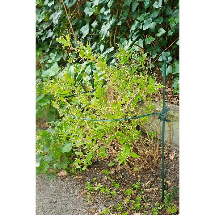 Nature Plantensteun - Diameter: 65 cm, Metaal - Sfeeropname