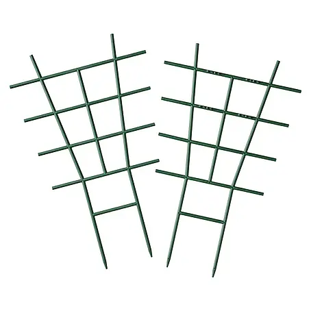 Nature  Plantensteun kamerplanten