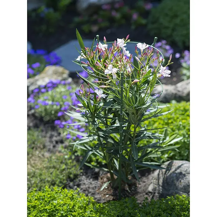 Nature Plantensteun - 90 cm, Staal - Sfeeropname