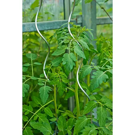 Nature  Klimsteun voor tomaten