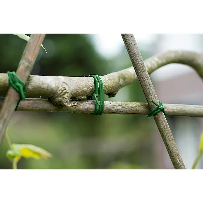 Nature Binddraad - Lengte: 50 m, Groen - Sfeeropname