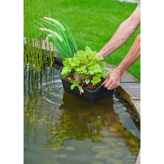 Ubbink Plantenmand ovaal - 40 x 24 x 15 cm - Toepassingsvoorbeeld