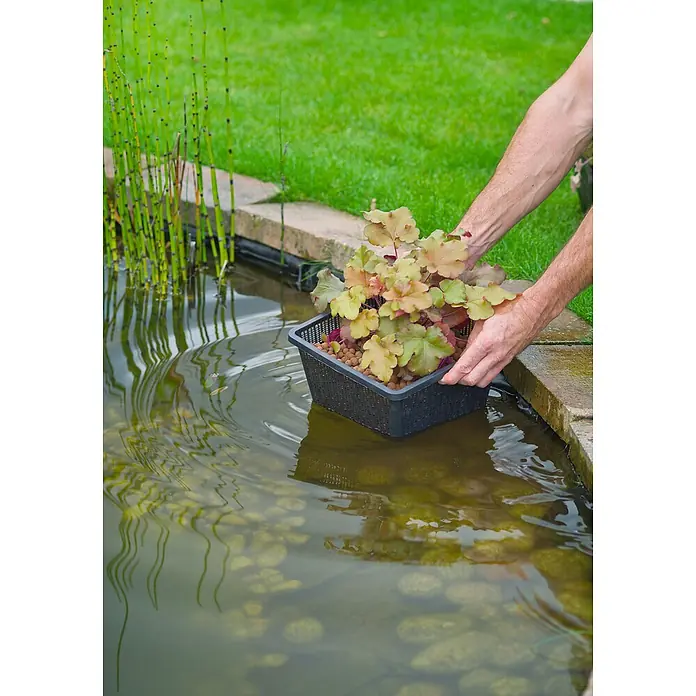Ubbink Plantenmand voor vijverplanten - 25 x 25 x 15 cm, Kunststof - Toepassingsvoorbeeld