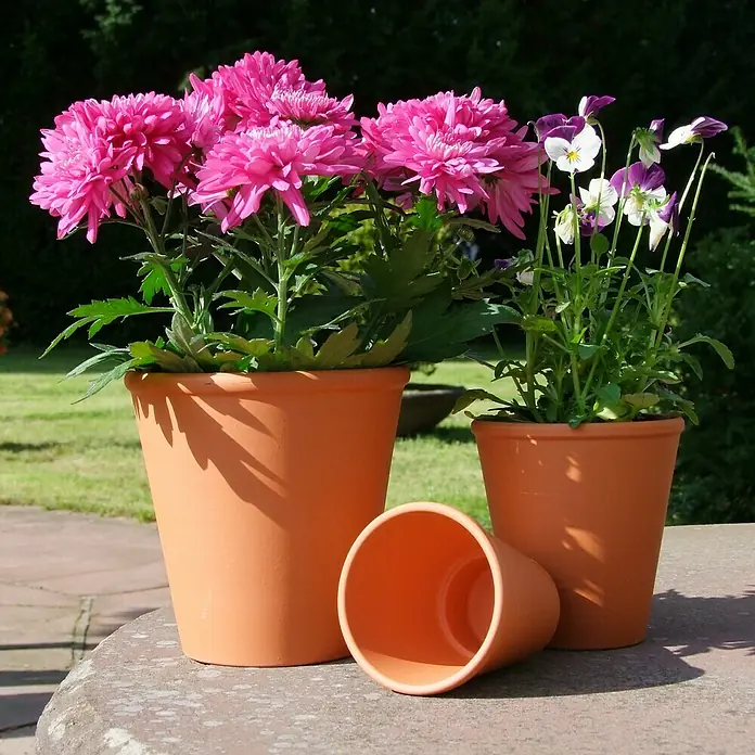 Pflanztopf - Max. Außendurchmesser: 14 cm, Höhe: 14 cm - Stimmungsaufnahme