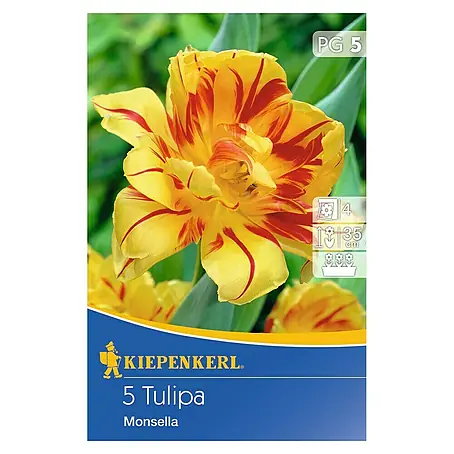 Kiepenkerl  Frühlingsblumenzwiebeln Tulpe 'Monsella'