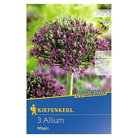Kiepenkerl  Sommerblumenzwiebeln Zierlauch 'Magic'