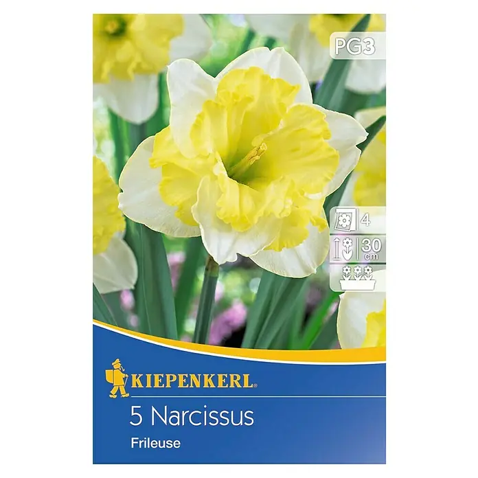 Kiepenkerl Frühlingsblumenzwiebeln Narzisse 'Frileuse' - Narcissus 'Frileuse', 5 Stk. - Vorderansicht