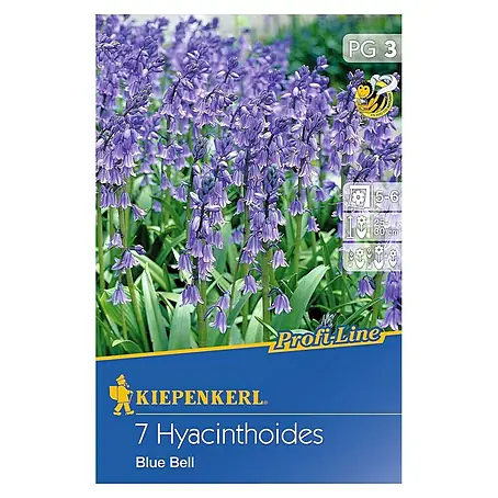 Kiepenkerl  Frühlingsblumenzwiebeln Hasenglöckchen 'Blue Bell'