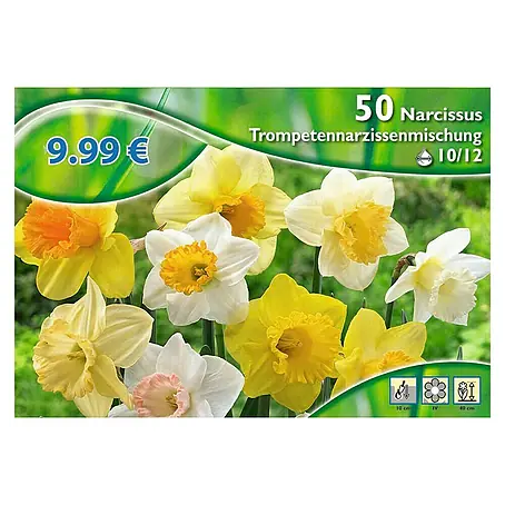 Kiepenkerl  Frühlingsblumenzwiebeln Narzisse 'Trompetenmischung'