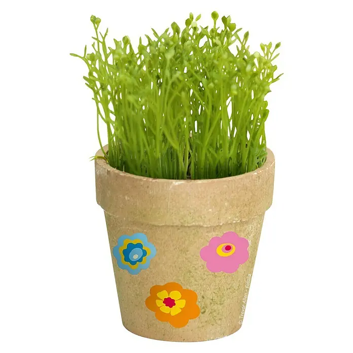 Dekosticker XXS - Blumen bunt - Stimmungsaufnahme
