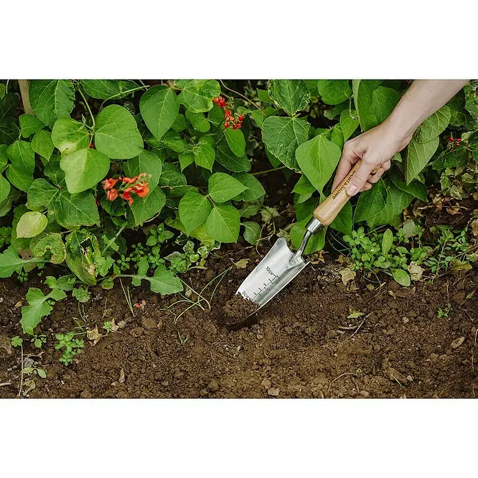 Kent & Stowe Pflanzkelle - 6,5 cm - Anwendungsbeispiel