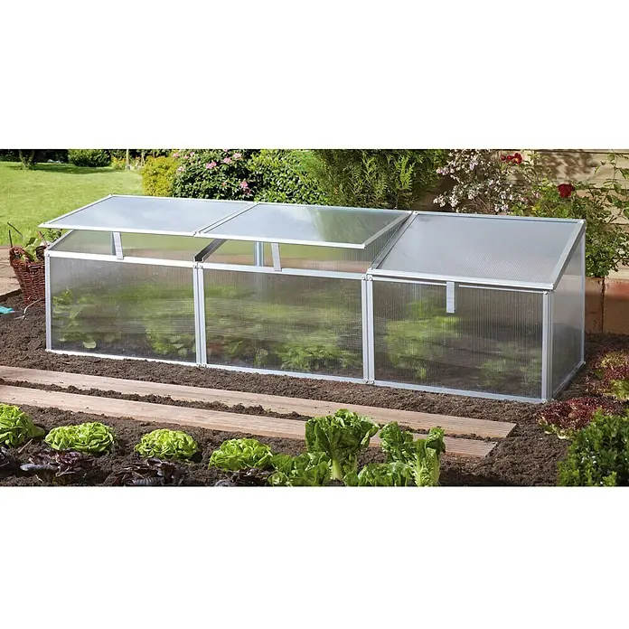 Vitavia Frühbeet Gaia 3X - 53 x 180 x 38 cm, Transparent, Polycarbonat - Stimmungsaufnahme