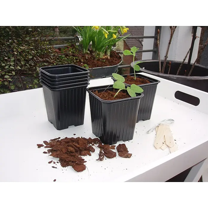 Nature Kweekpot - Ø x h: 7 x 6 cm, Kunststof, 7 stk. - Sfeeropname
