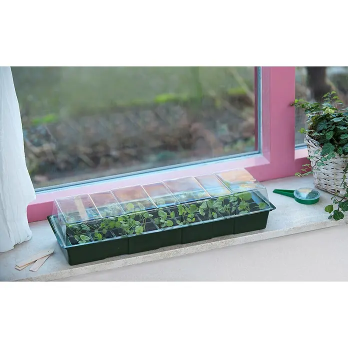 Nature Kweekset - 49 x 15,5 x 10 cm, Transparant/groen - Sfeeropname