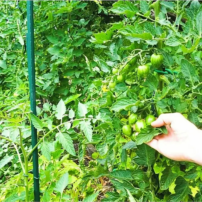 Štap za biljke - 1 kom, Duljina: 265 cm, Promjer: 37 mm, Plastika - Proizvod u upotrebi