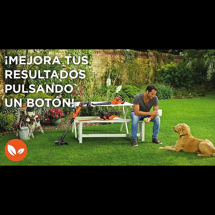 Black+Decker Soplador de hojas de batería Boost - Capacidad de la batería: 2 Ah