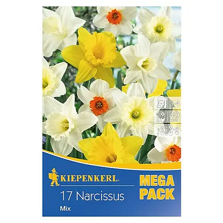Kiepenkerl  Frühlingsblumenzwiebeln Narzisse 'Mix'