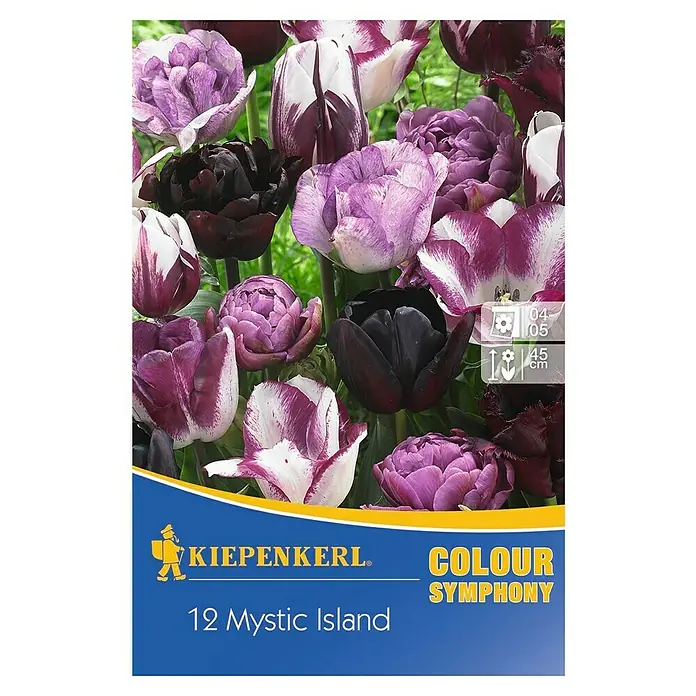 Kiepenkerl Frühlingsblumenzwiebeln Tulpenmix 'Mystic Island' - Tulipa hybride, 12 Stk. - Vorderansicht