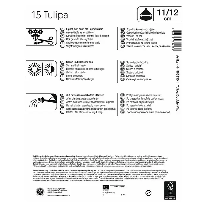 Kiepenkerl Frühlingsblumenzwiebeln Tulpe 'Gefüllter Mix' - Tulipa x hybride - Rückansicht