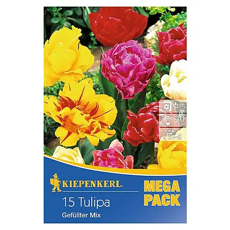 Kiepenkerl  Frühlingsblumenzwiebeln Tulpe 'Gefüllter Mix'