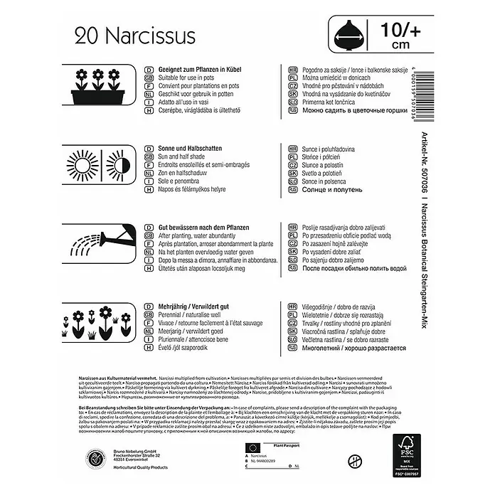 Kiepenkerl Frühlingsblumenzwiebeln Narzisse 'Steingarten-Mix' - Narcissus, 20 Stk. - Rückansicht