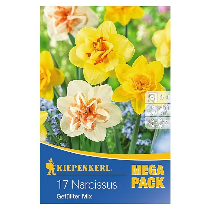 Kiepenkerl Frühlingsblumenzwiebeln Gefüllter Narzissen-Mix - Narcissus, 17 Stk. - Vorderansicht