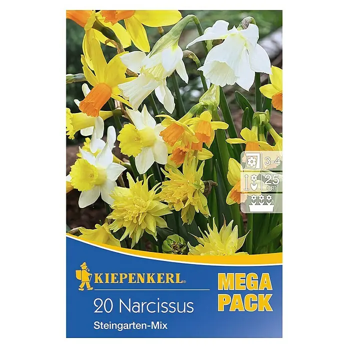 Kiepenkerl Frühlingsblumenzwiebeln Narzisse 'Steingarten-Mix' - Narcissus, 20 Stk. - Vorderansicht