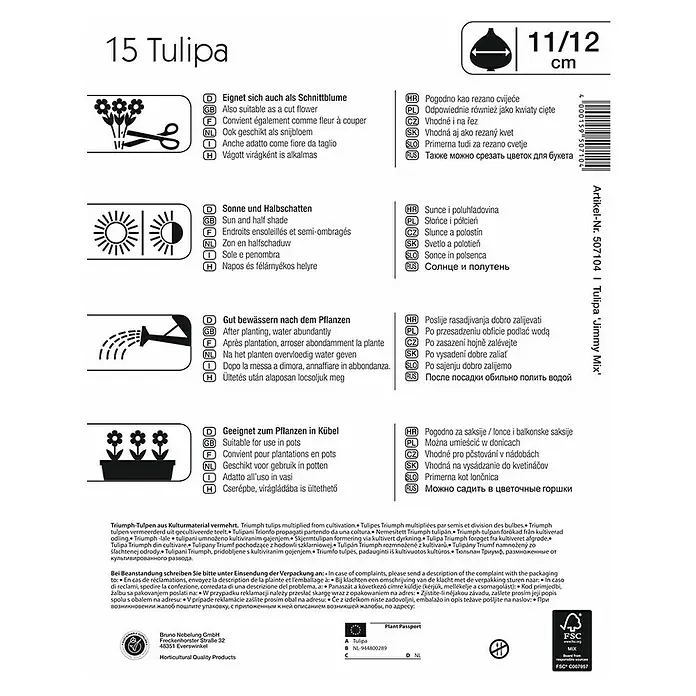 Kiepenkerl Frühlingsblumenzwiebeln Tulpe 'Jimmy Mix' - Tulipa x hybride - Rückansicht
